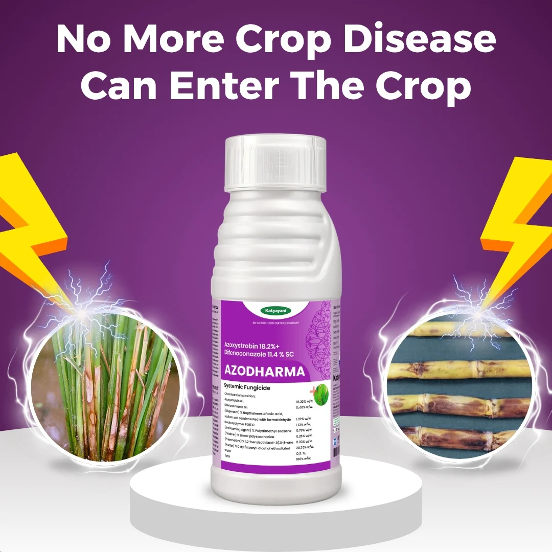 Katyayani Azodharma | Azoxystrobin 18.2% + Difenoconazole 11.4% SC | Broad- Spectrum Fungicide - Image 2