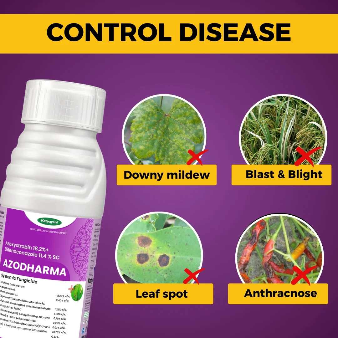 Katyayani Azodharma | Azoxystrobin 18.2% + Difenoconazole 11.4% SC | Broad- Spectrum Fungicide - Image 3