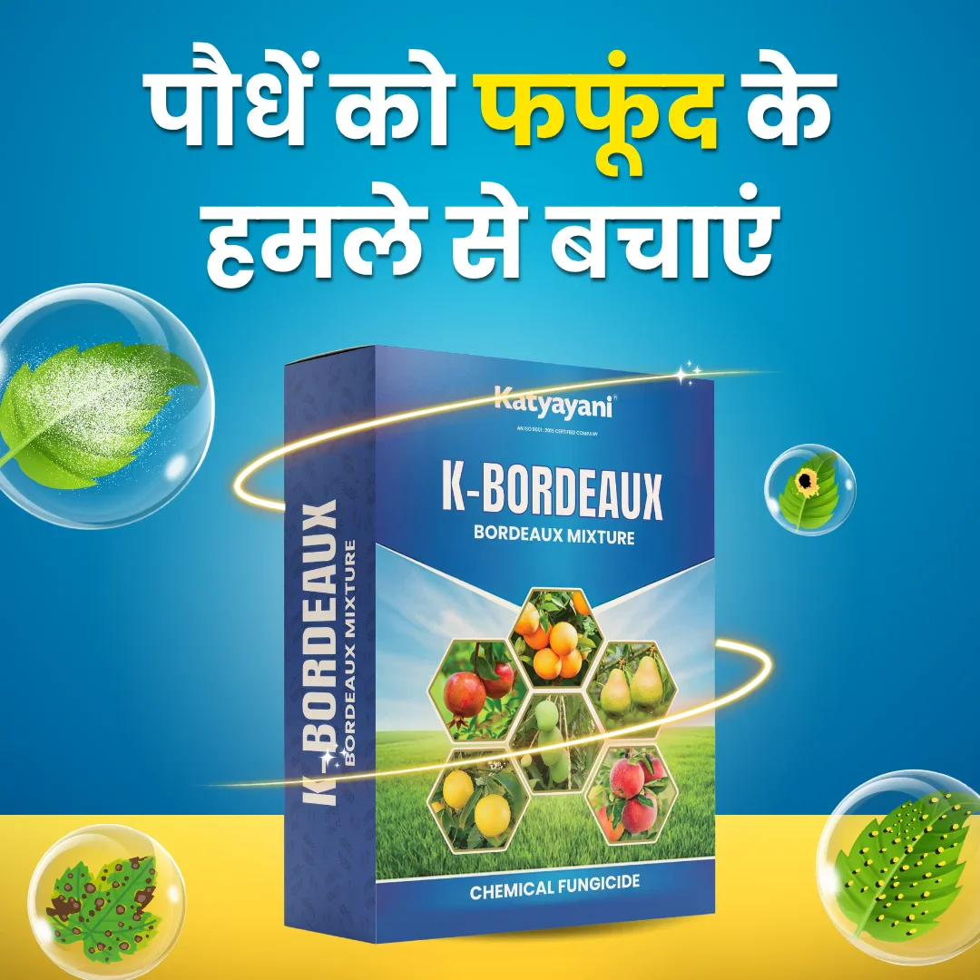 Katyayani K-Bordeaux Mixture | Chemical Fungicide | Control Fungal and Bacterial Disease - Image 2
