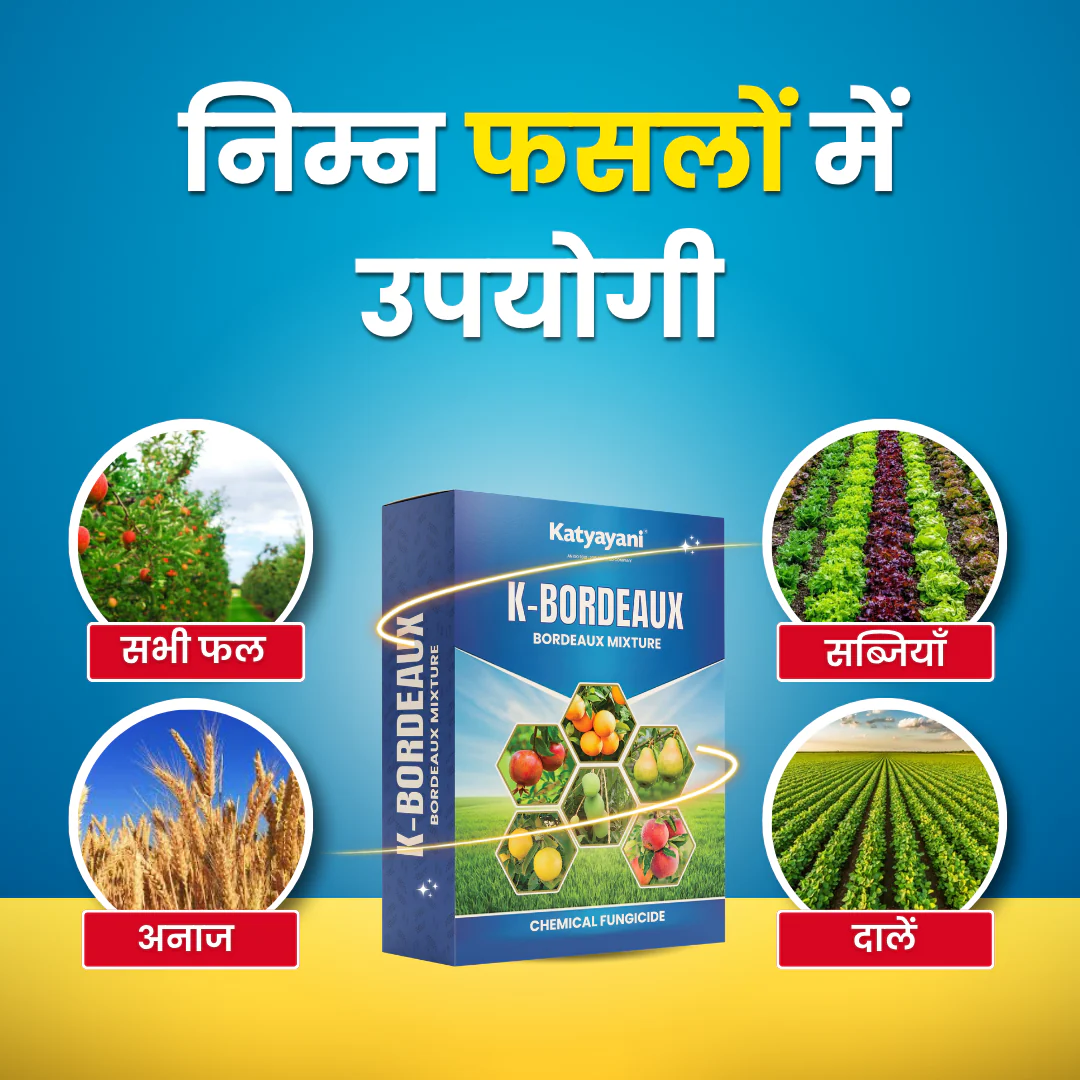 Katyayani K-Bordeaux Mixture | Chemical Fungicide | Control Fungal and Bacterial Disease - Image 3