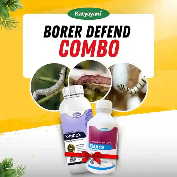 Katyayani Borer Defend combo (Ema 19 250ml + K indox 100 ml)