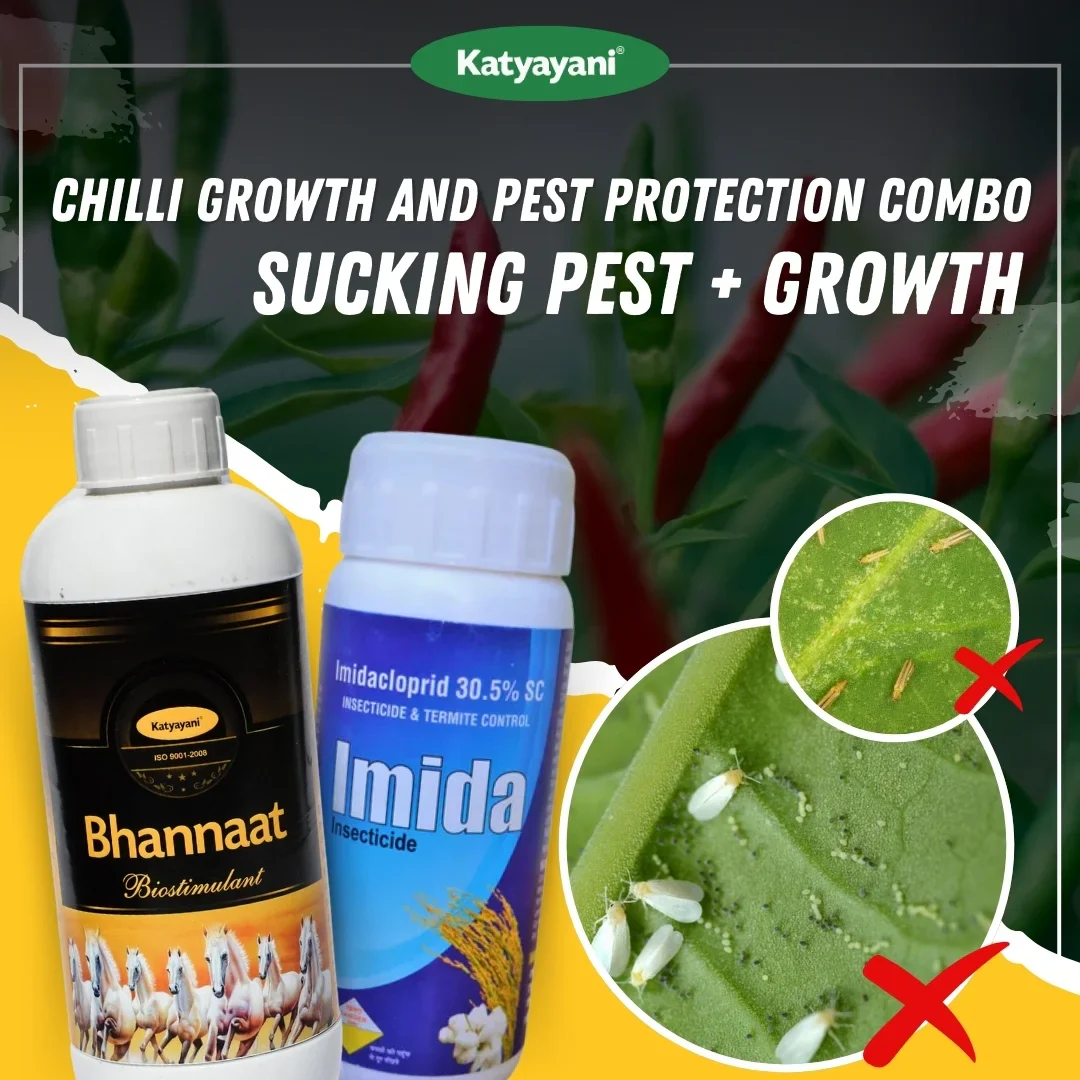 Katyayani Chilli Growth and Pest Protection Combo 11-20 Days (Imida 100 ML + Bhannaat 250 ML)