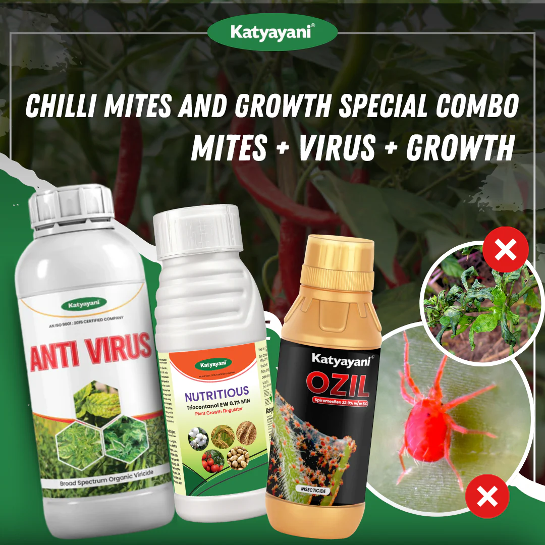 Katyayani Chilli Mites and Growth Special Combo 40-60 Days (Ozil 250 ML + AntiVirus (250 ML x 2) + Nutritious 250 ML)