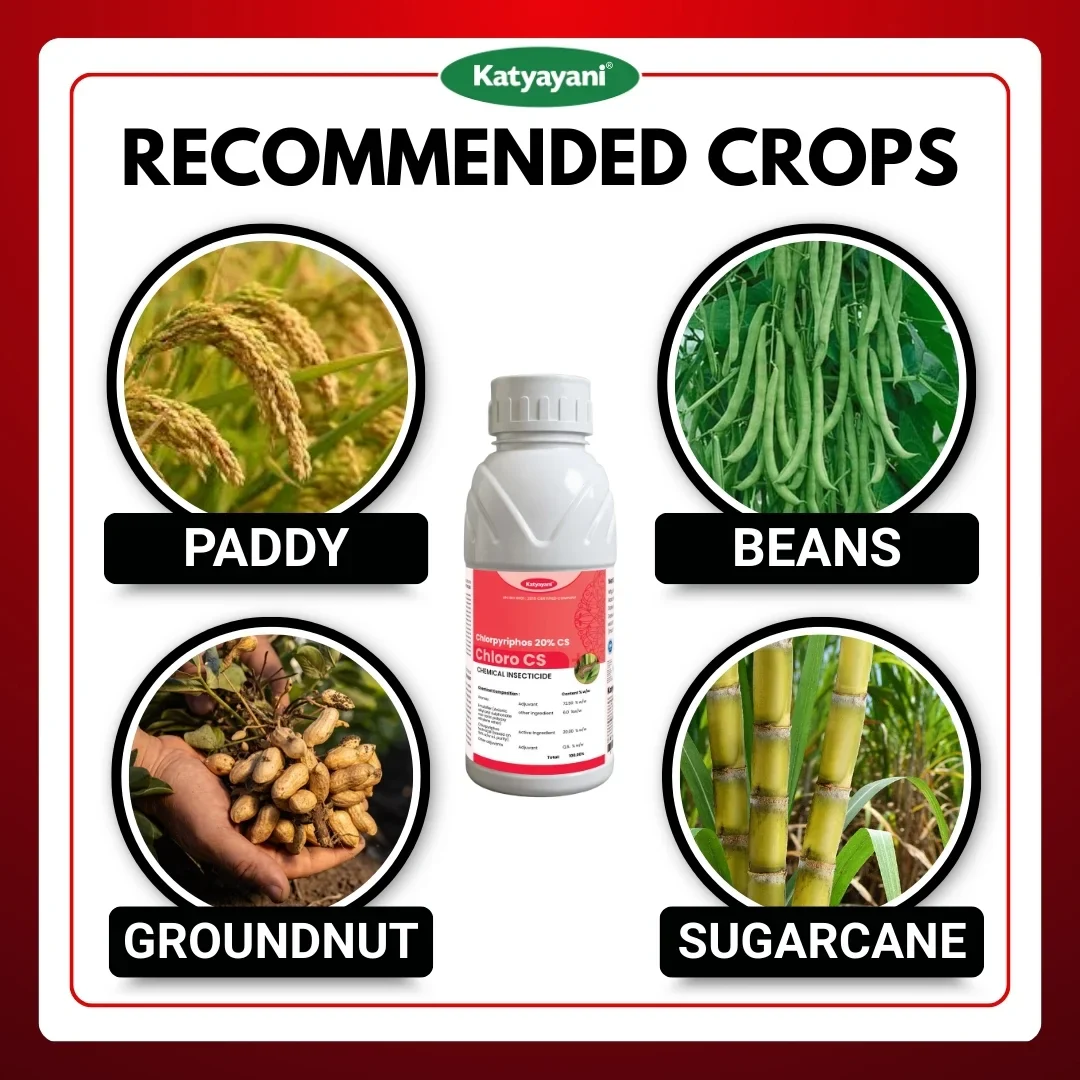 Katyayani Chloro CS | Chloropyriphos 20 % CS | Chemical insecticide - Image 4
