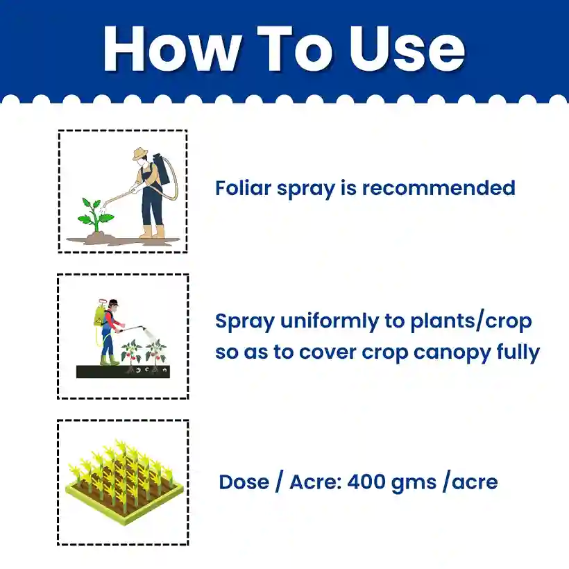 Katyayani Copper More | Copper Sulphate Fungicide - Image 5