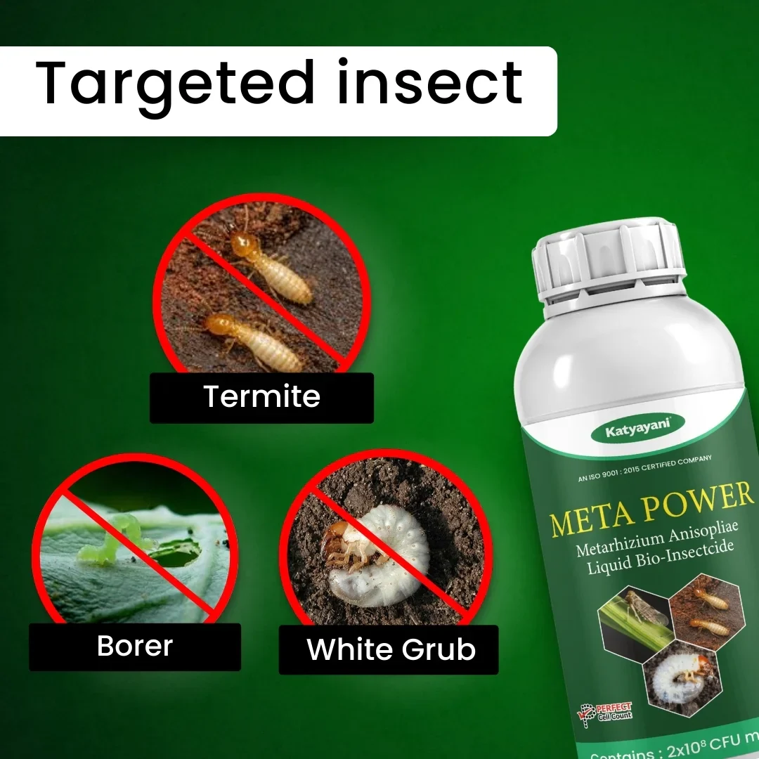 Katyayani Meta Power | Metarhizium Anisopliae | Liquid Bio Insecticide - Image 3
