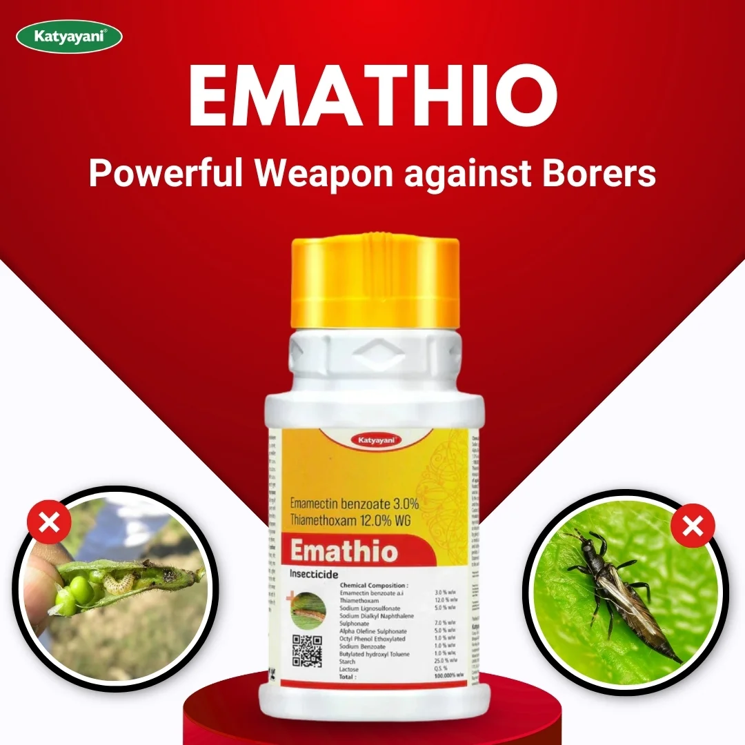 KATYAYANI EMATHIO | EMAMECTIN BENZOATE 3% + THIAMETHOXAM 12% WG | CHEMICAL INSECTICIDE - Image 2