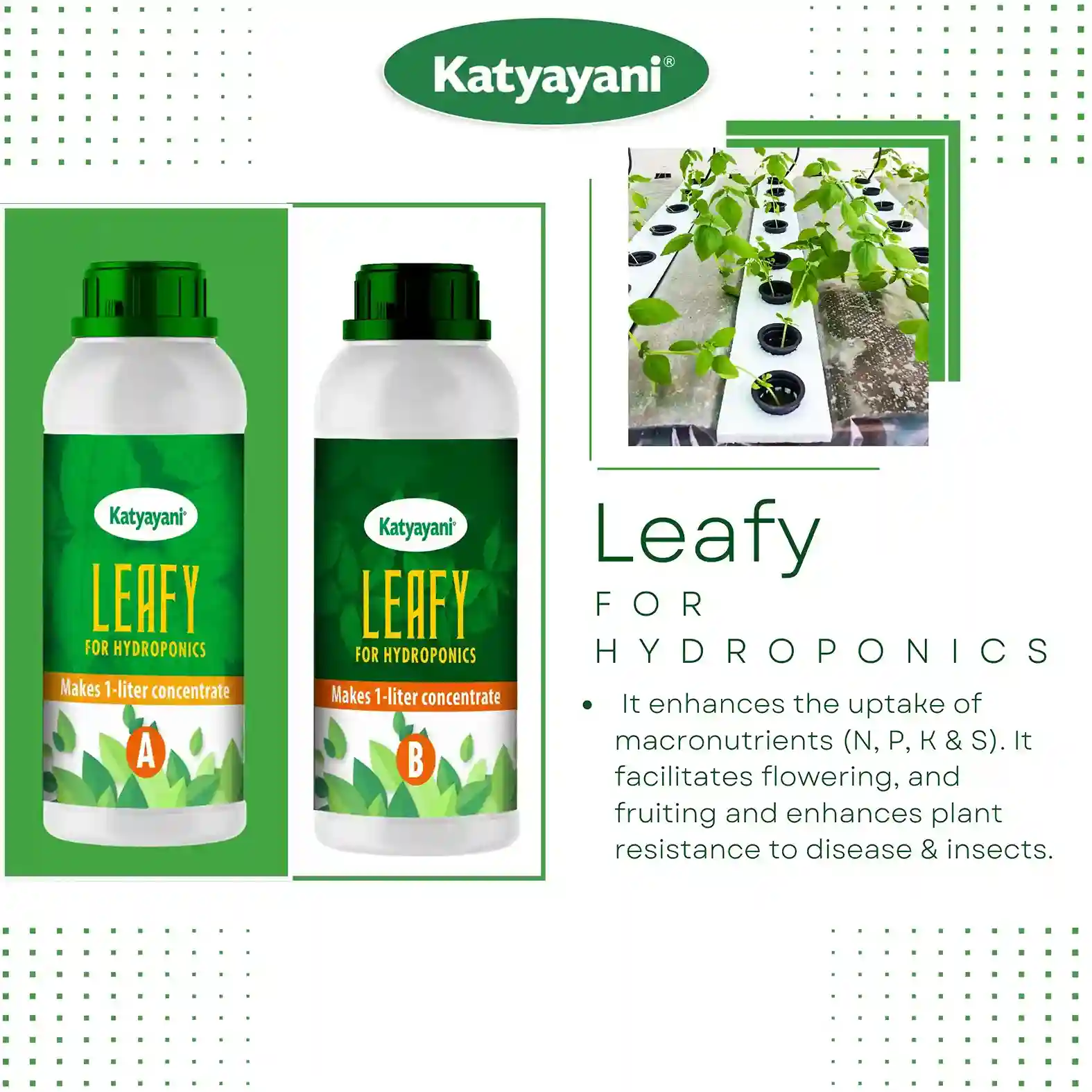 Katyayani  Hydroponic Nutrients LEAFY - 400 - Image 4