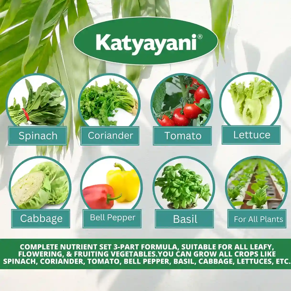 Katyayani Hydroponics All in 1 Combo - Image 4