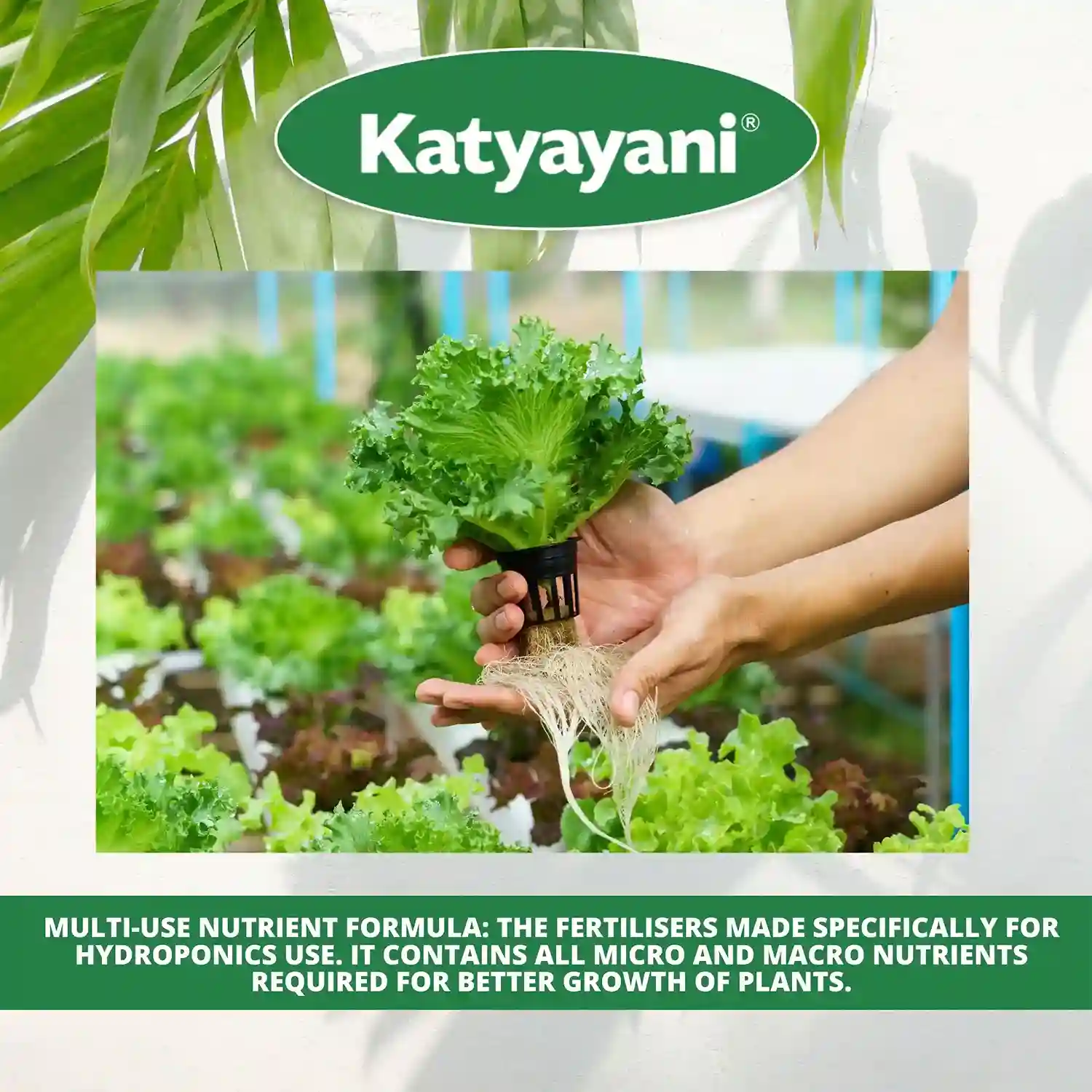 Katyayani Hydroponics All in 1 Combo - Image 5