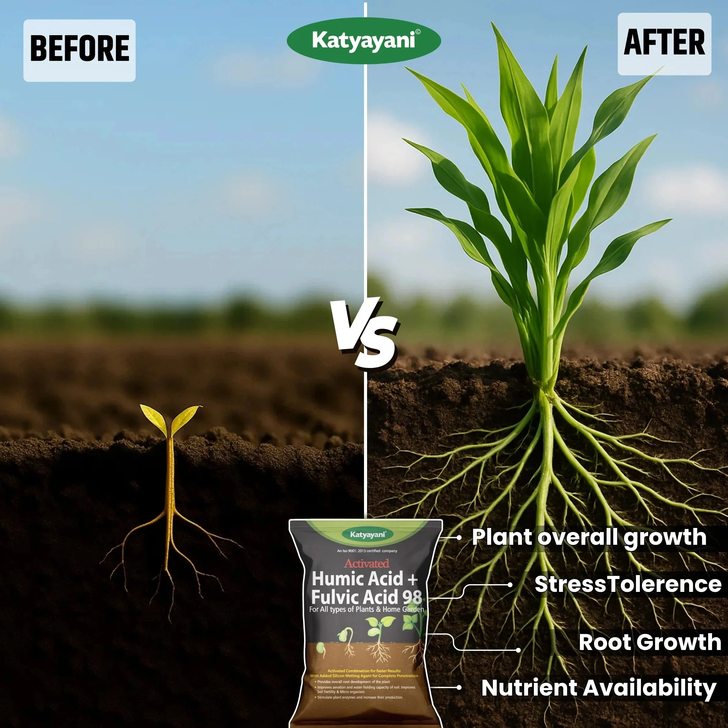 Katyayani Activated Humic Acid + Fulvic Acid 98 Fertilizer for Crop Nutrition & Root Growth (Bulk Quantity) - Image 3