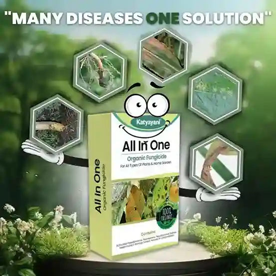 Katyayani All In One | Organic Fungicide 100 GM (1+1 Free) - Image 2