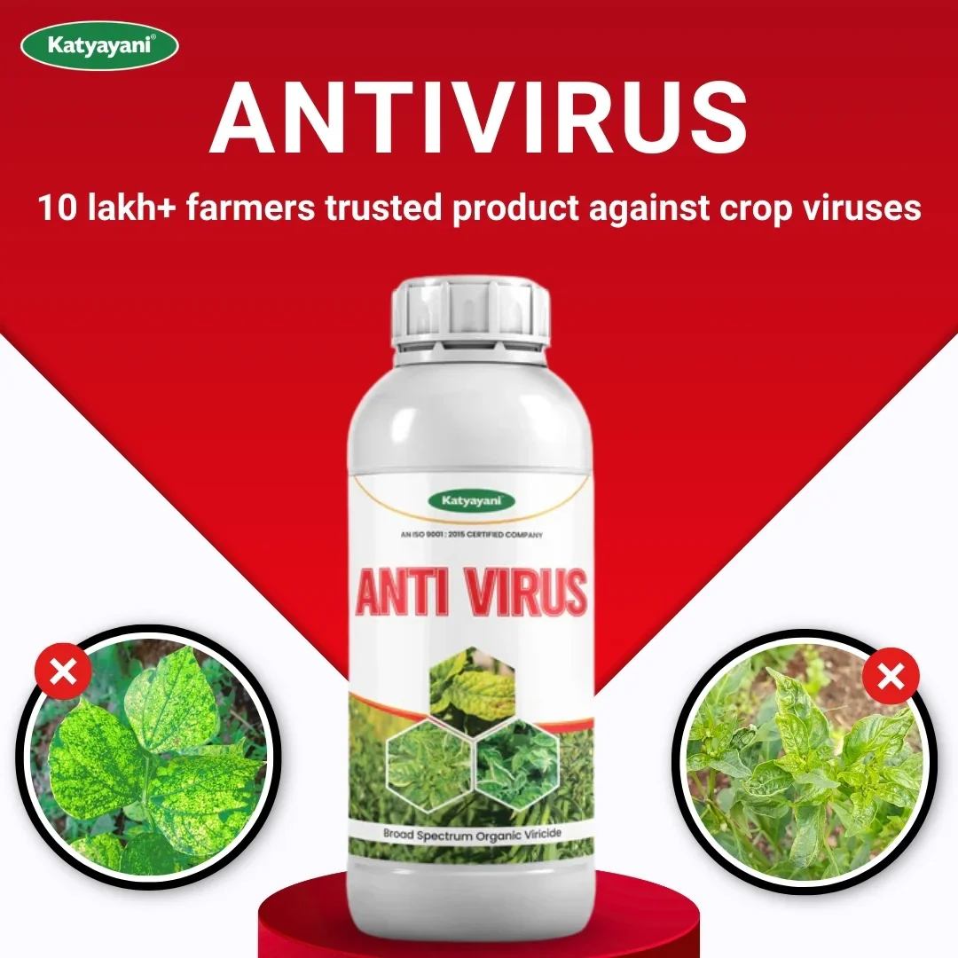KATYAYANI ANTIVIRUS (1+1 Free) - Image 2
