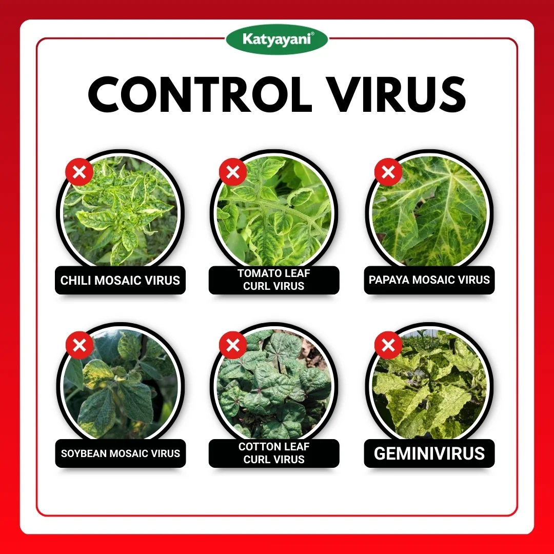 KATYAYANI ANTIVIRUS (1+1 Free) - Image 3
