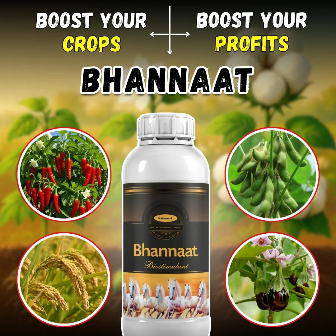 Katyayani Bhannaat | Biostimulant Plant Growth Regulator | Enhance Yield & Stress Resistance - Image 3