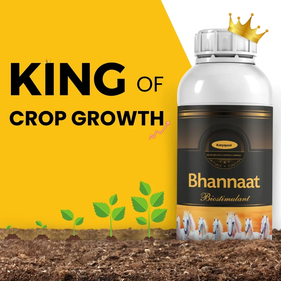Katyayani Bhannaat | Biostimulant Plant Growth Regulator | Enhance Yield & Stress Resistance - Image 4