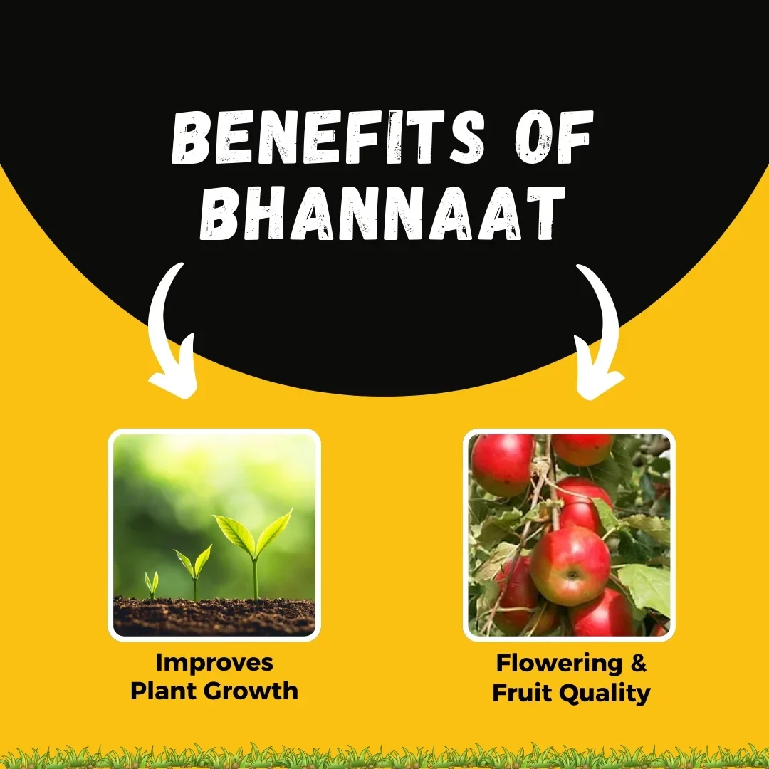 Katyayani Bhannaat | Biostimulant Plant Growth Regulator | Enhance Yield & Stress Resistance - Image 5