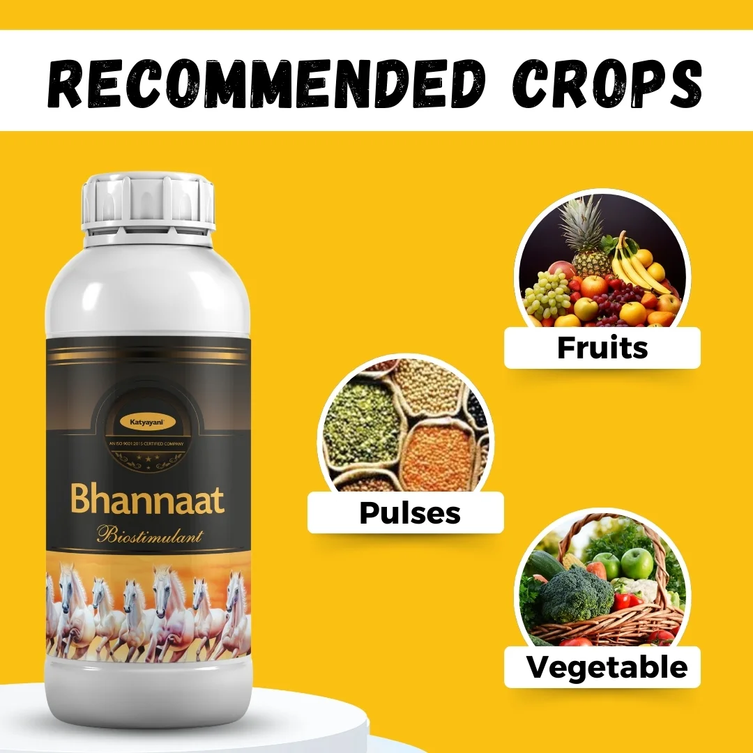 Katyayani Bhannaat | Biostimulant Plant Growth Regulator | Enhance Yield & Stress Resistance - Image 6