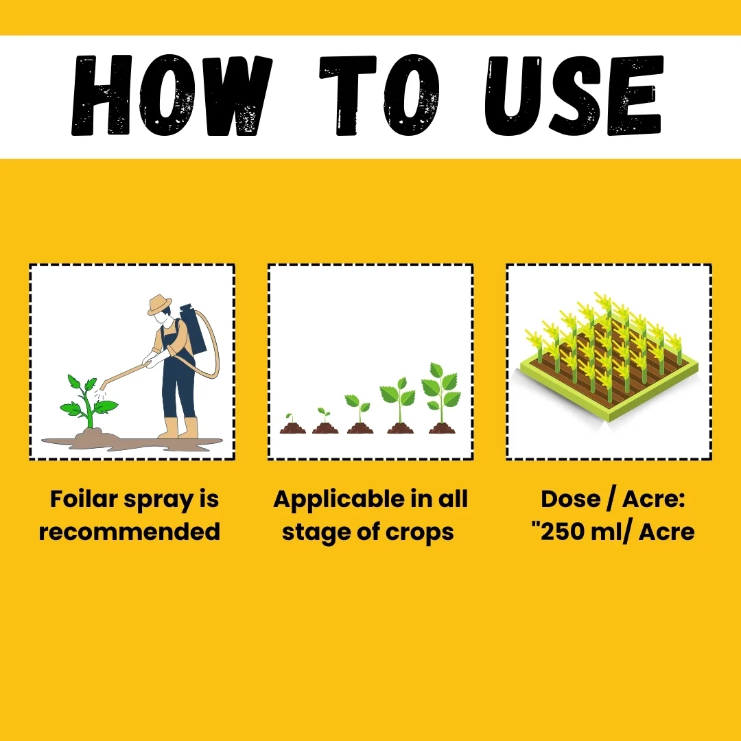 Katyayani Bhannaat | Biostimulant Plant Growth Regulator | Enhance Yield & Stress Resistance - Image 7