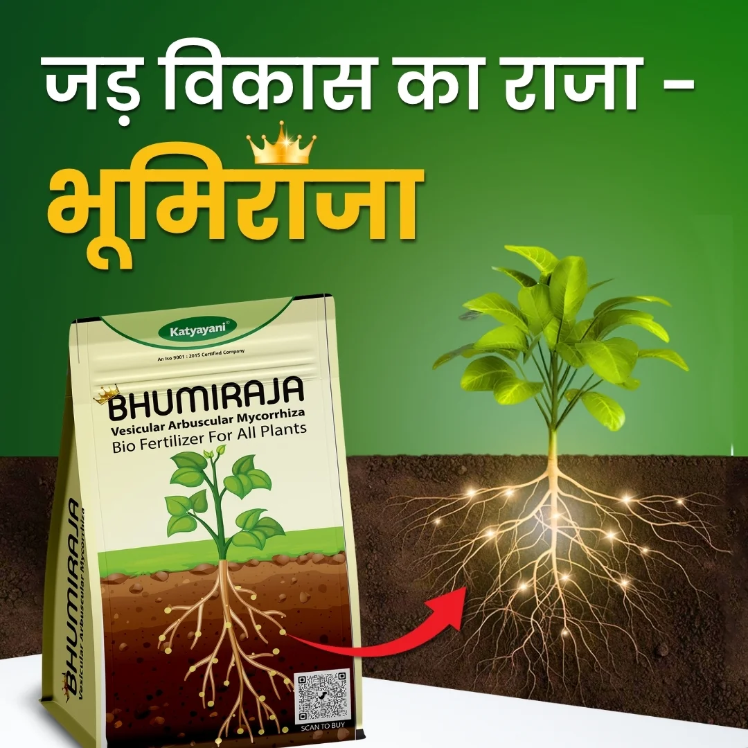 Katyayani Bhumiraja (Mycorrhiza Fertilizer) | Best For Root Growth - Image 2