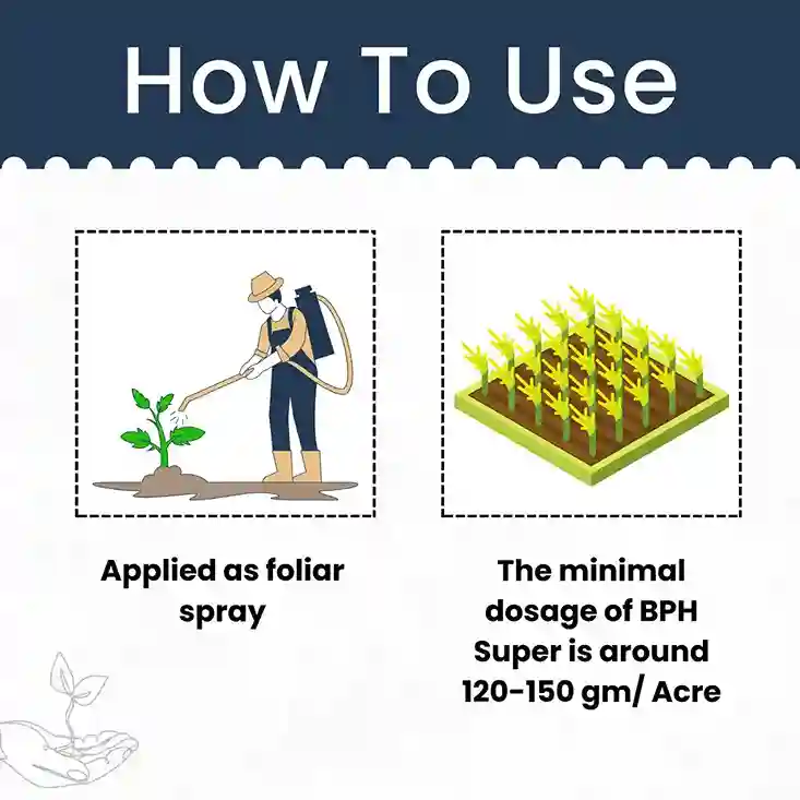 Katyayani BPH Super Chemical Insecticide 150 GM (1+1 Free) - Image 5