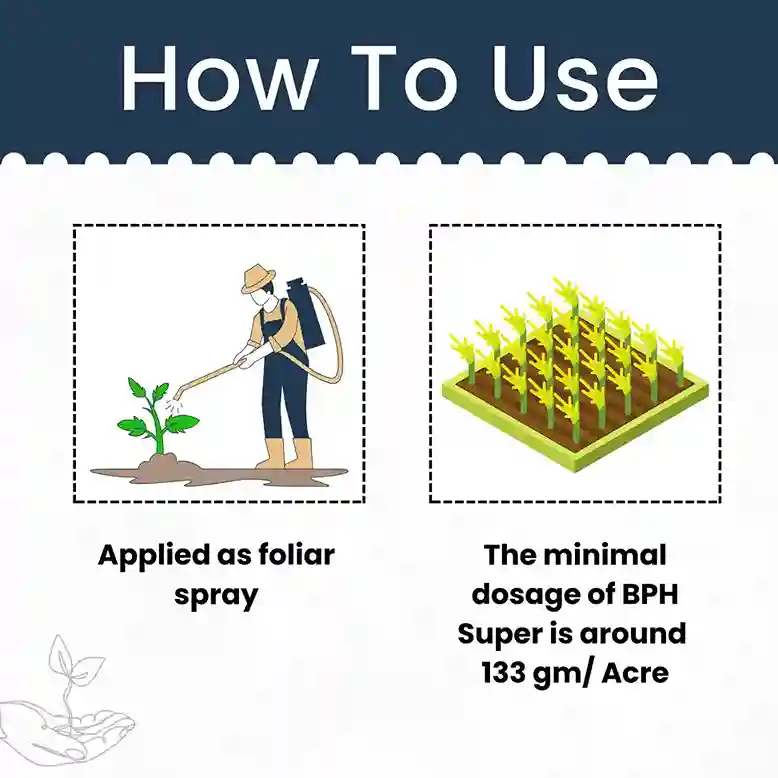 Katyayani BPH Super + | Dinotefuran 15% + Pymetrozine 45% WG | Chemical Insecticide - Image 5