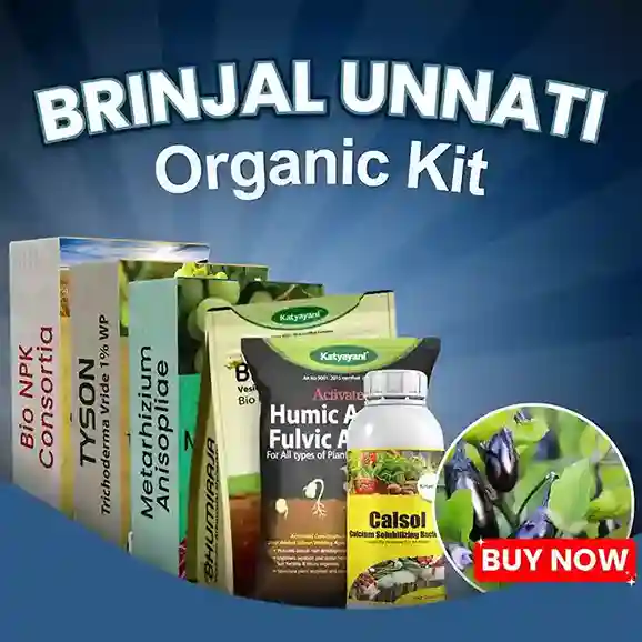 Katyayani Brinjal Unnati Organic Kit - Root Weevils