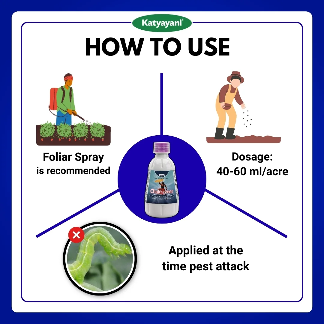 Katyayani Chakraveer | Chlorantraniliprole 18.5% SC | Chemical Insecticide (Bulk Quantity) - Image 5