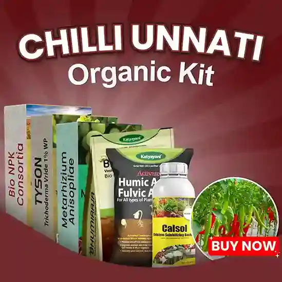 Katyayani Chilli Unnati Organic Kit - Root Rot