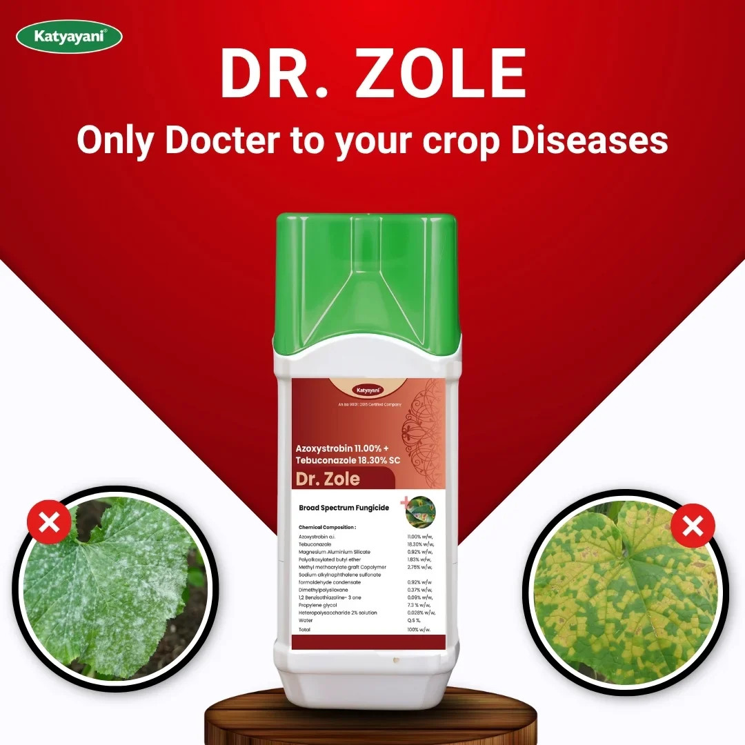 Katyayani Dr. Zole | Azoxystrobin 11% + Tebuconazole 18.3% SC | Chemical Fungicide - Image 2