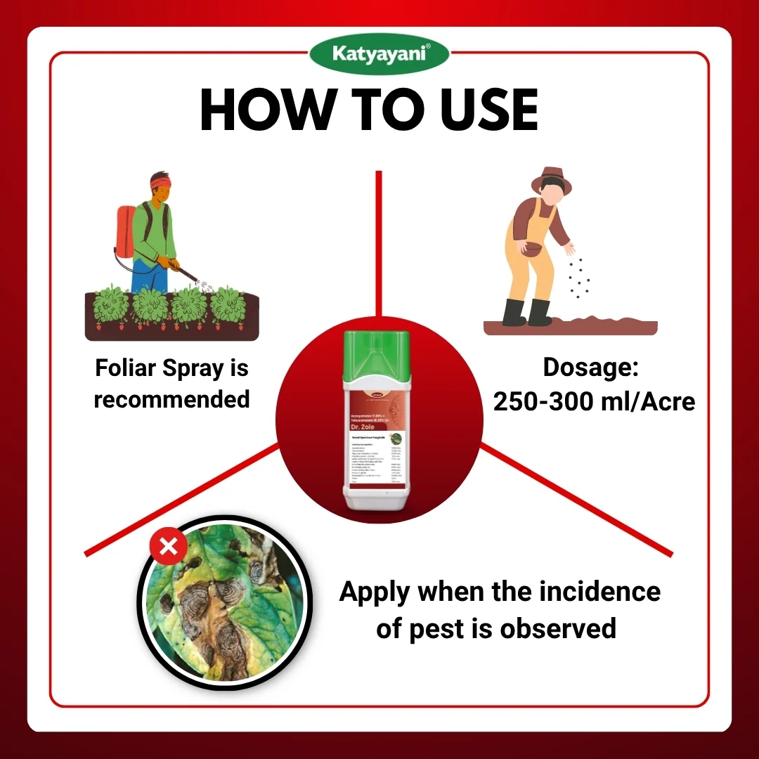 Katyayani Dr. Zole | Azoxystrobin 11% + Tebuconazole 18.3% SC | Chemical Fungicide - Image 5