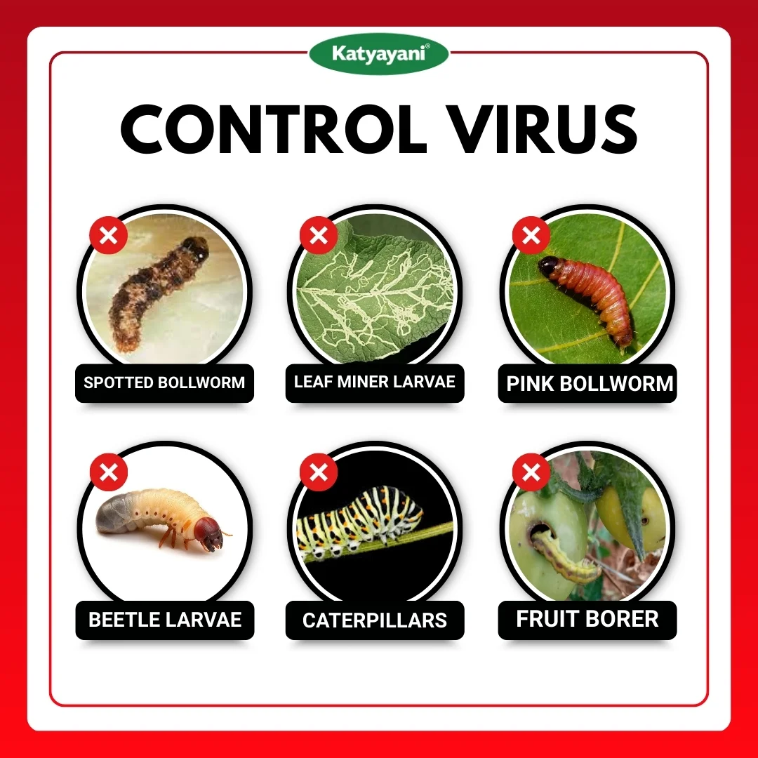 KATYAYANI FINISH IT | ALL IN ONE LARVICIDE | ORGANIC INSECTICIDE - Image 3