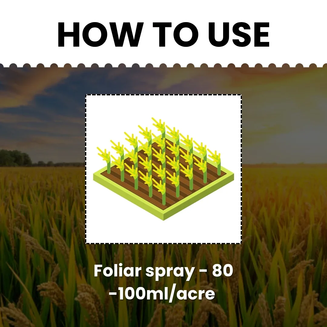 Katyayani Garuda | Bispyribac Sodium 10 % SC | Broad Spectrum Systemic Herbicide For Rice Crop - Image 5