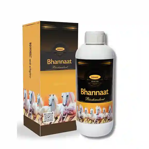 Katyayani Chilli Growth and Pest Protection Combo 11-20 Days (Imida 100 ML + Bhannaat 250 ML) - Image 2