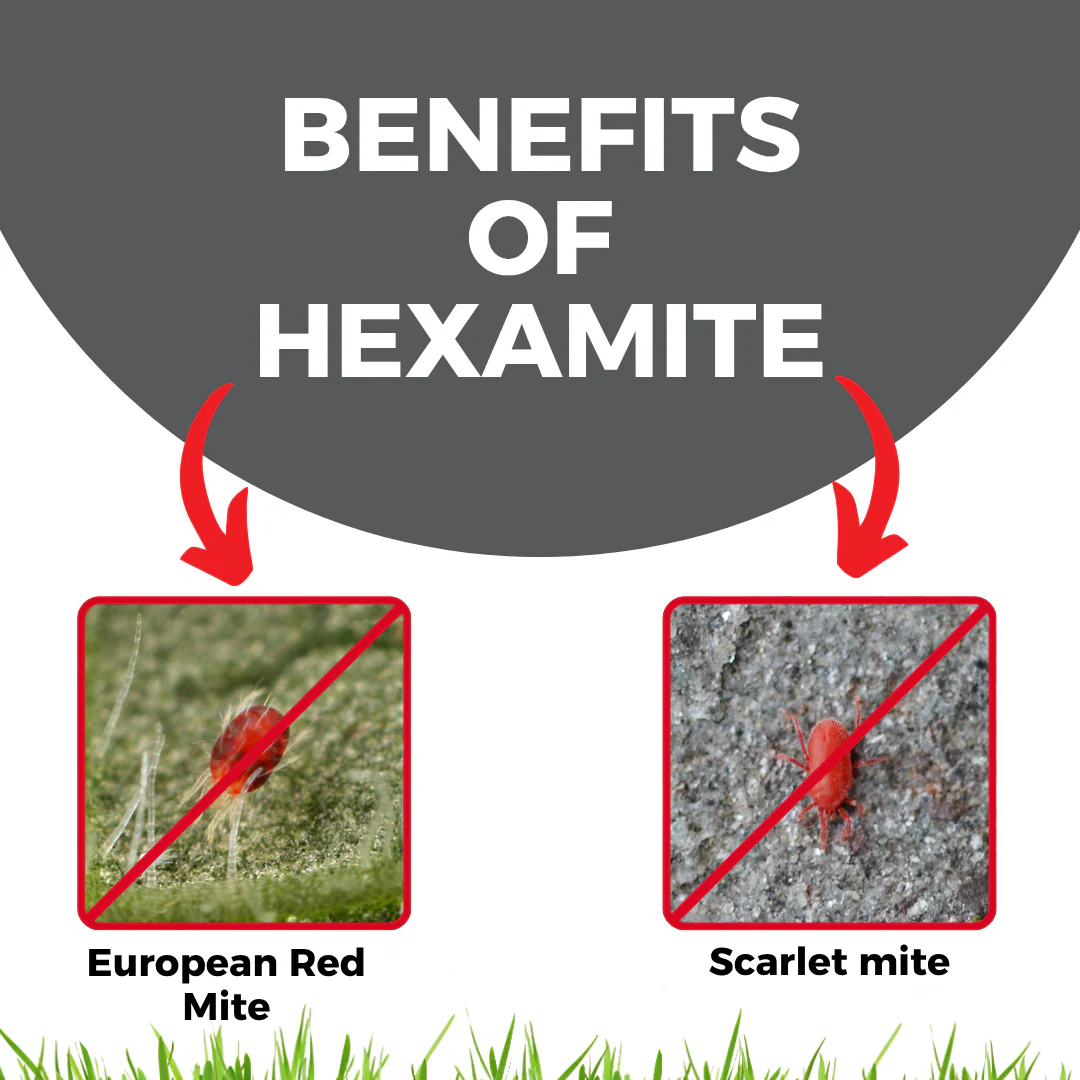 Katyayani Hexamite | Hexythiazox 5.45% EC | Chemical Insecticide - Image 3