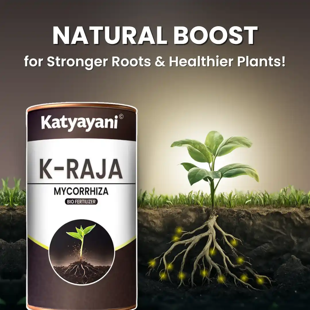 Katyayani K-RAJA | Mycorrhizal Biofertilizer | 100% Water Soluble - Image 2