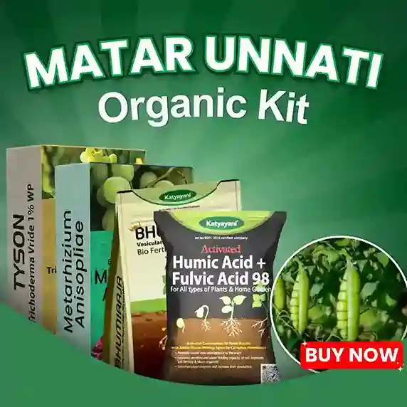 Katyayani Matar Unnati Organic Kit - Prevent Nutrient Deficiencies & Boost Health