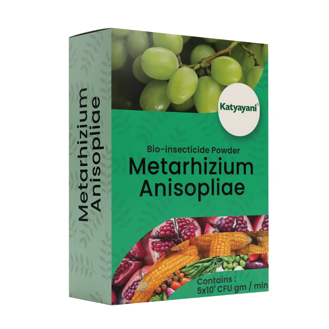 Katyayani Metarhizium Anisopliae | Powder Bio Insecticide