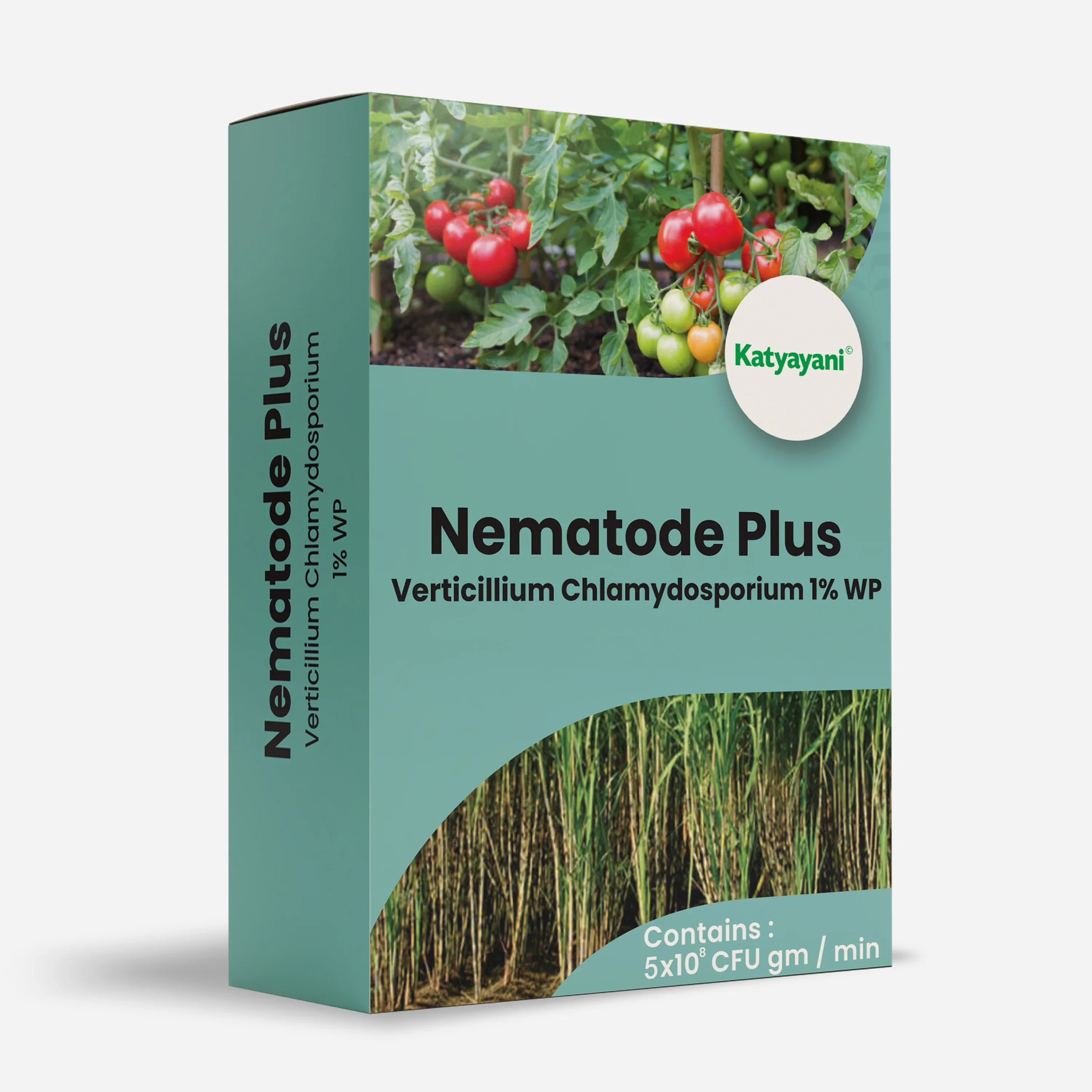 KATYAYANI NEMATODE PLUS | VERTICILLIUM CHLAMYDOSPORIUM 1% WP
