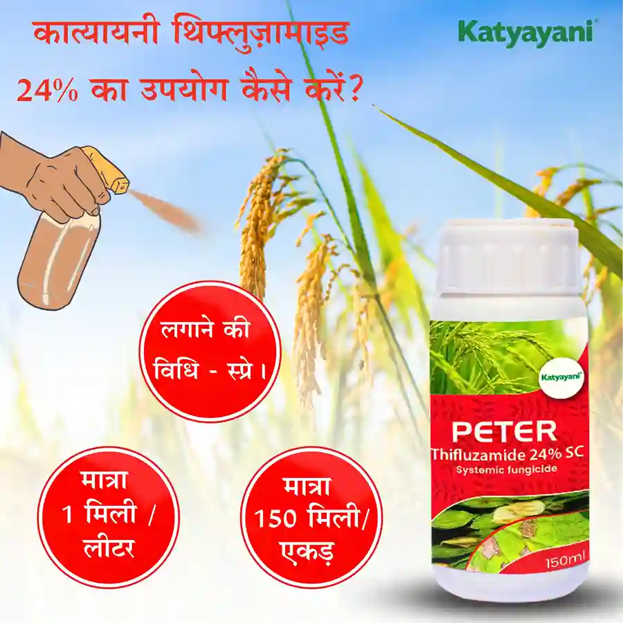 Katyayani Peter | Thifluzamide 24%SC | Chemical fungicide - Image 4