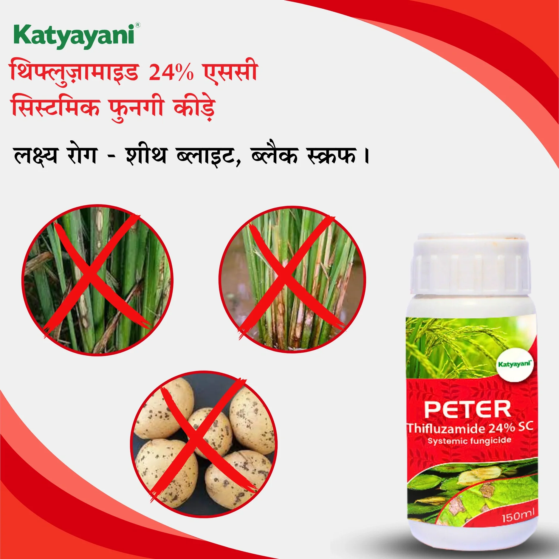 Katyayani Peter | Thifluzamide 24%SC | Chemical fungicide - Image 5