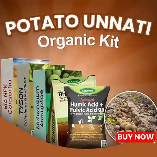 Katyayani Potato Unnati Organic Kit - Higher Yields