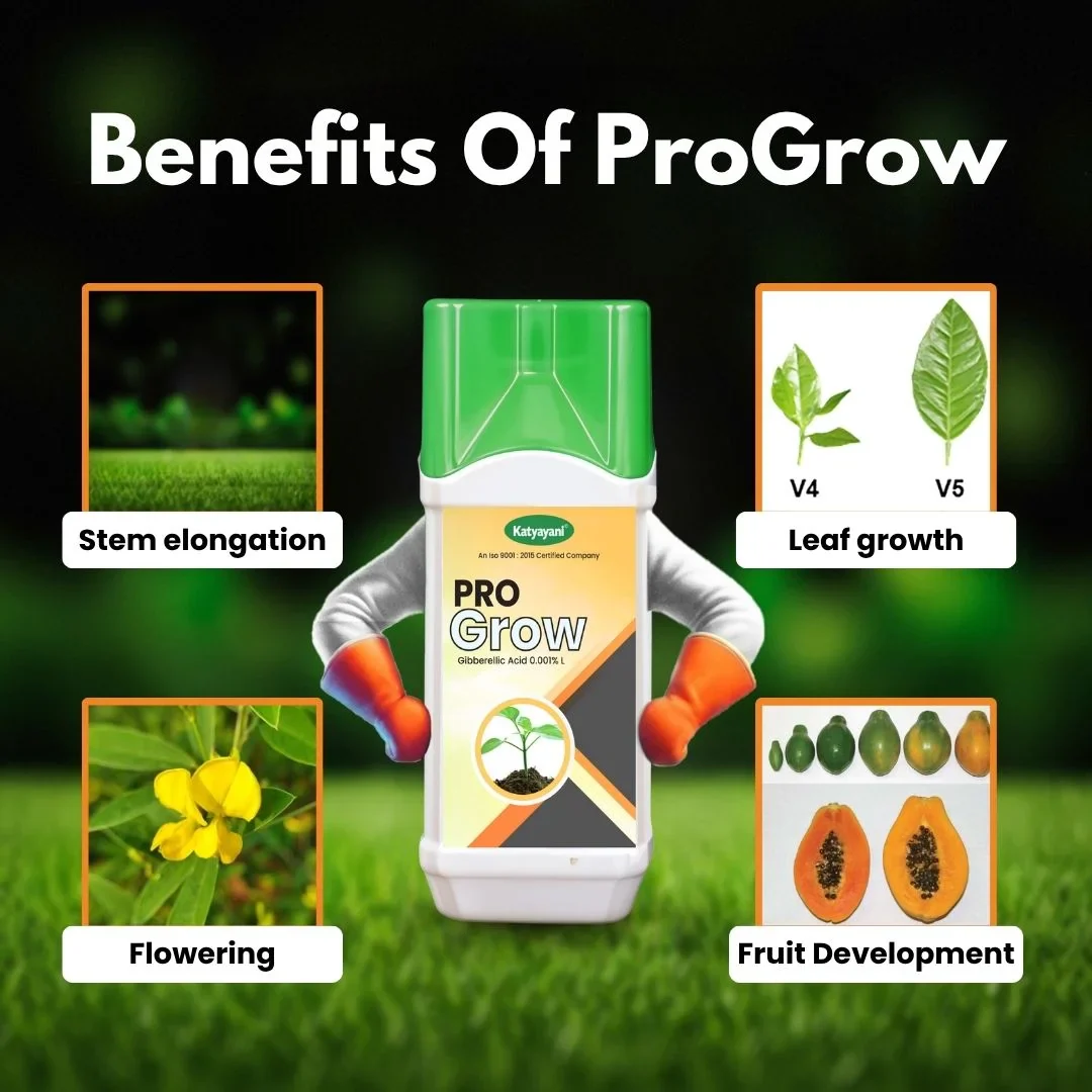 Katyayani Pro Grow | Gibberellic Acid 0.001% PGR 1L (1+1 Free) - Image 2