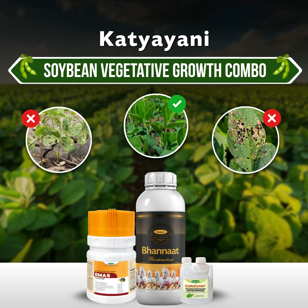 Katyayani Soybean Vegetative Growth Combo
