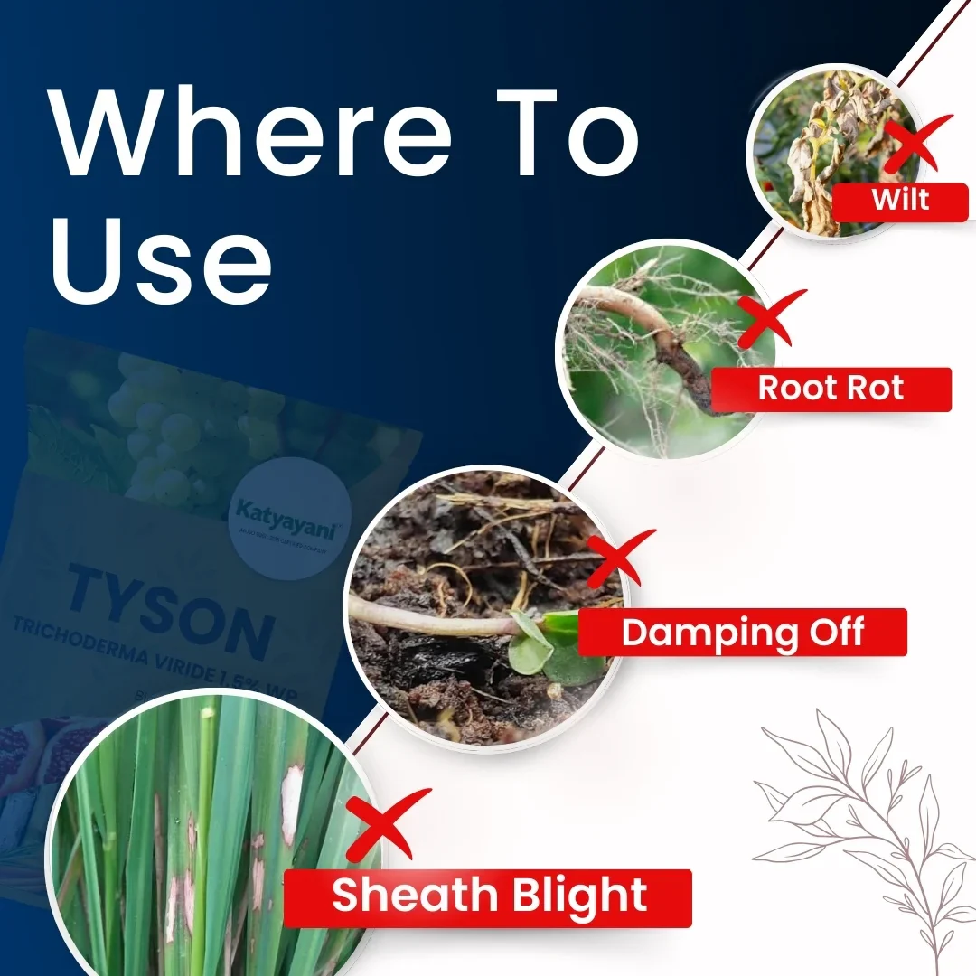 Katyayani Tyson | Trichoderma Viride 1.5% WP | Bio Fungicide Powder for Root Rot, Plant Roots, and Soil Protection - Image 3