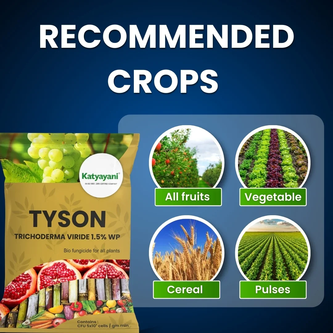 Katyayani Tyson | Trichoderma Viride 1.5% WP | Bio Fungicide Powder for Root Rot, Plant Roots, and Soil Protection - Image 4
