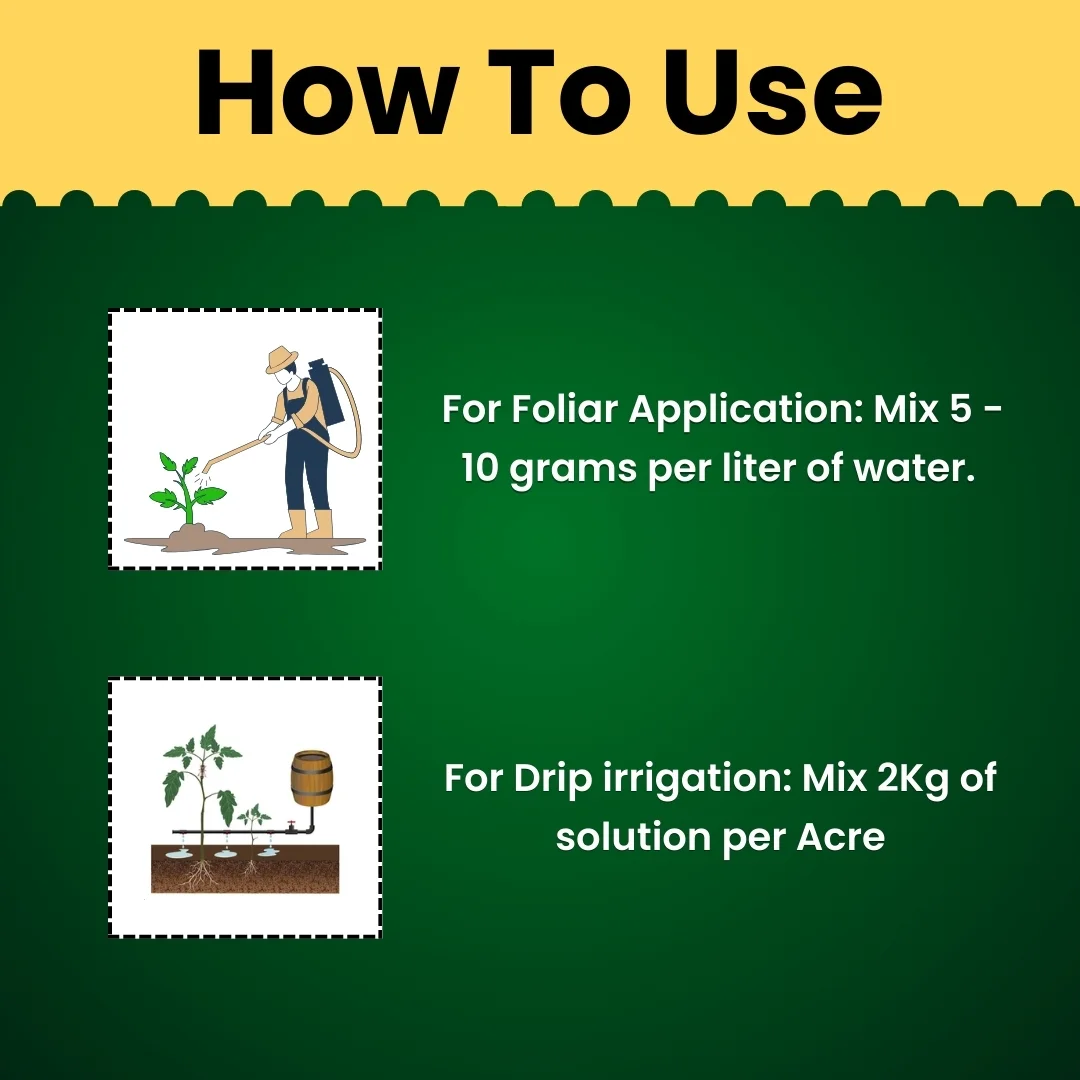 KATYAYANI TRIPLE ATTACK POWDER | VERTICILLIUM LECANII + BEAUVERIA BASSIANA + METARHIZIUM ANISOPLIAE | BIO PESTICIDE - Image 5
