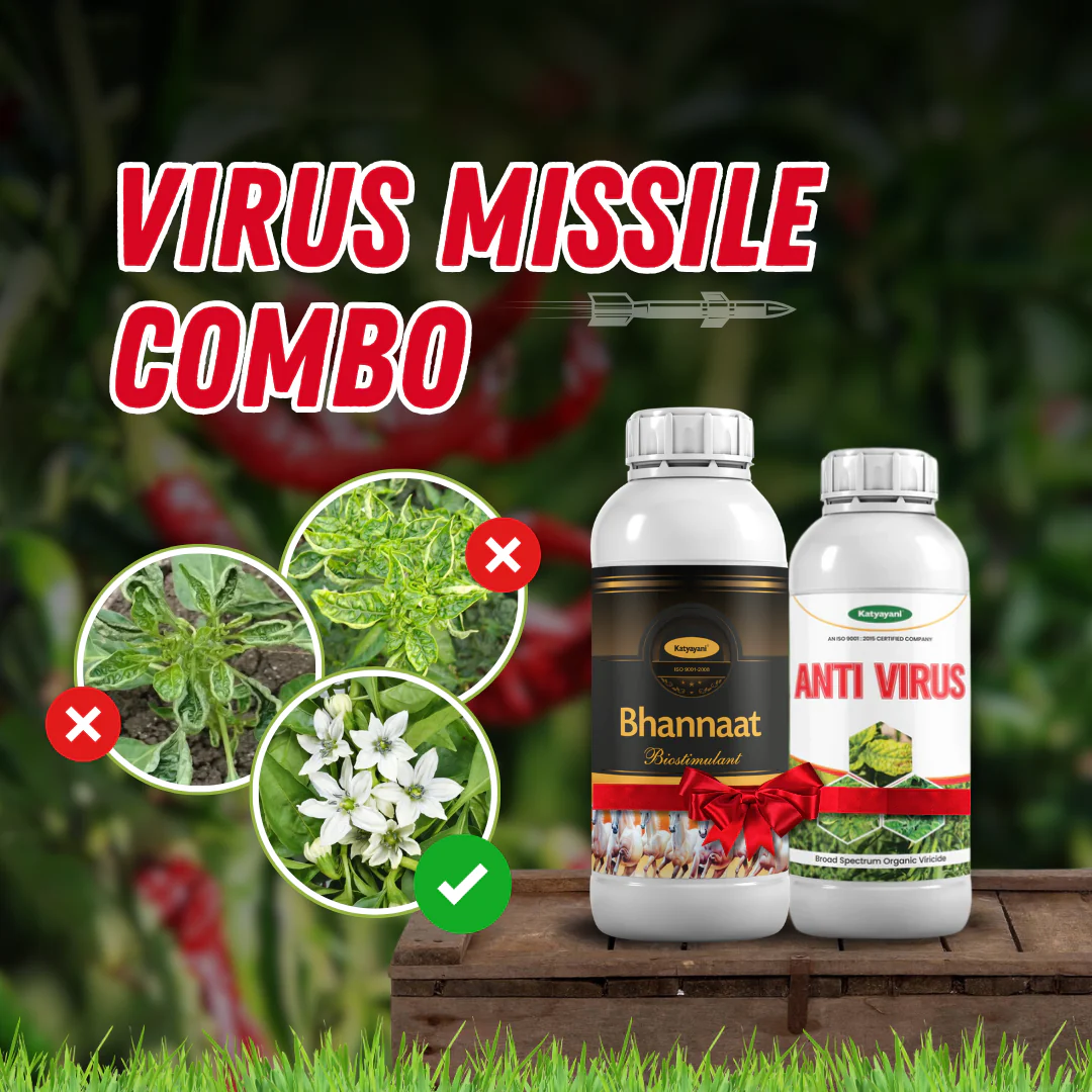 Katyayani Virus Missile Combo – Protect Against Viruses & Boost Growth - Image 2