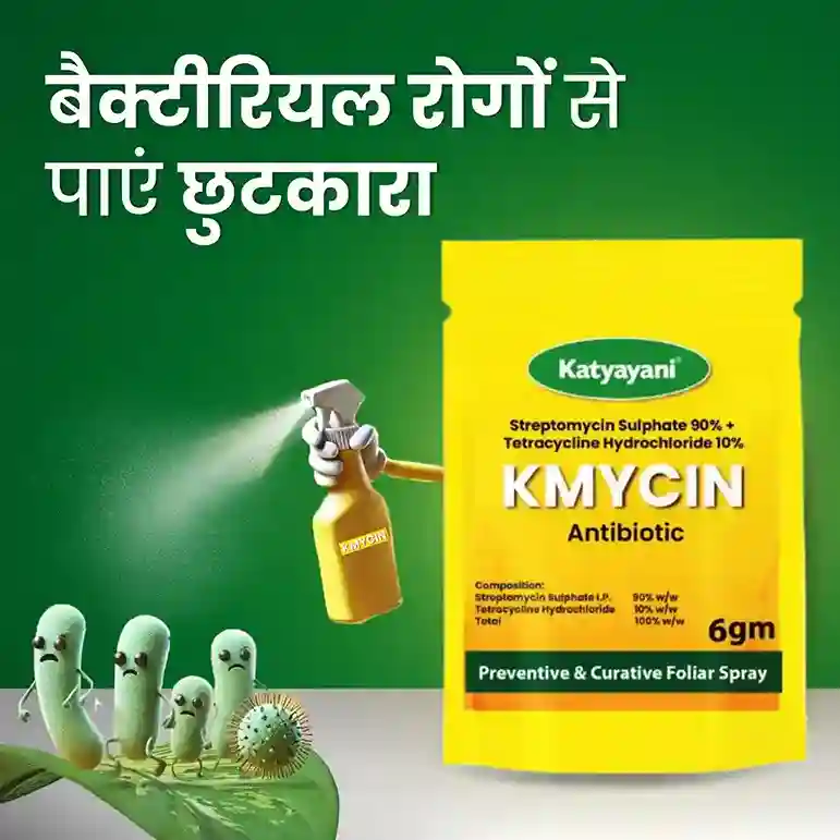Katyayani KMYCIN Chemical fungicide | Streptomycin Sulphate 90% + Tetracycline Hydrochloride 10% - Image 2