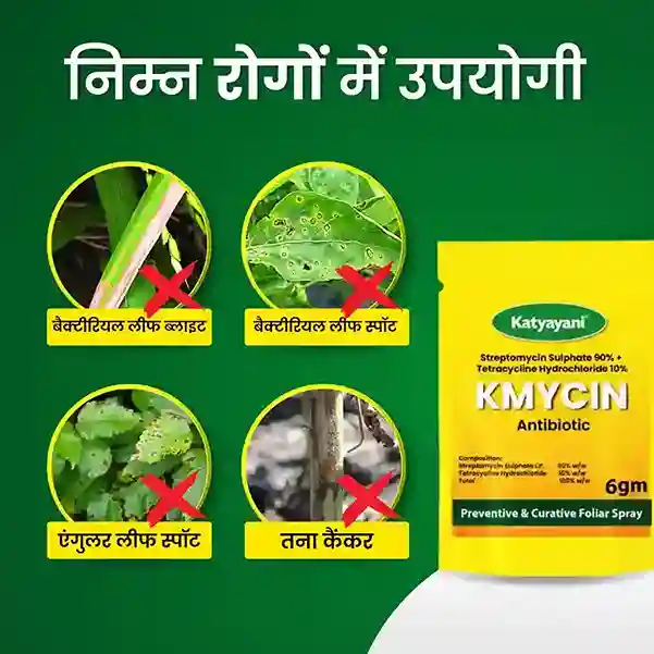 Katyayani KMYCIN Chemical fungicide | Streptomycin Sulphate 90% + Tetracycline Hydrochloride 10% - Image 3